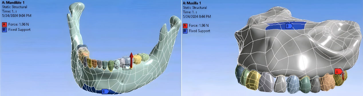 japid-17-205-g004