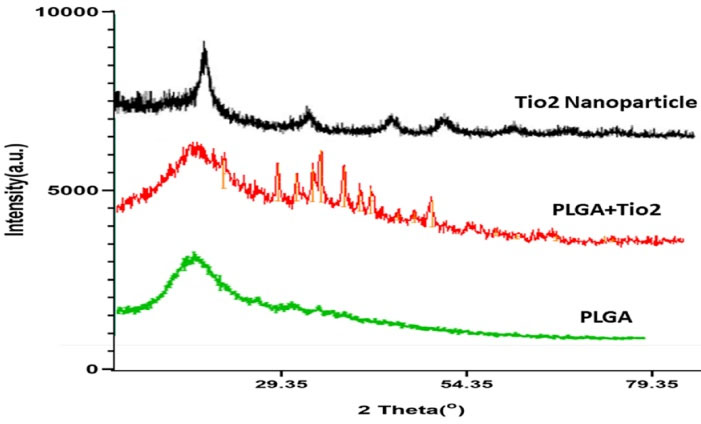 japid-18-103-g004